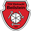 Websites Verein