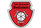 Website Verein