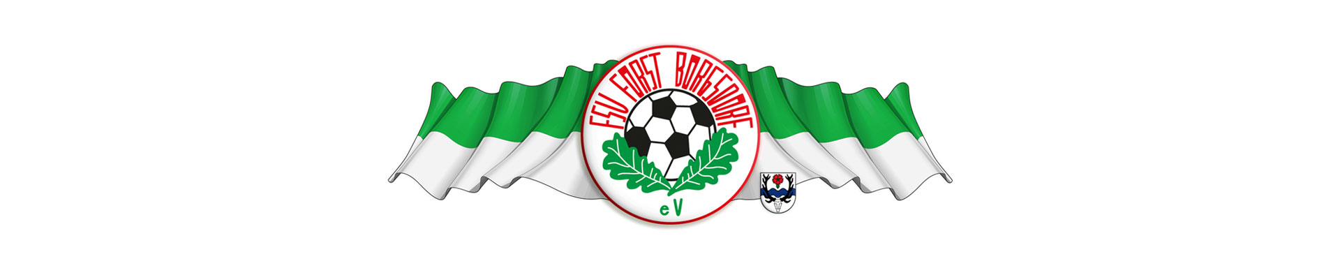 FSV Forst Borgsdorf e.V.