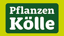 Pflanzen Kölle